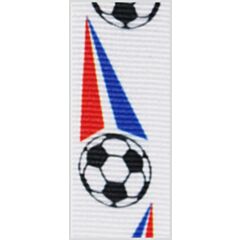 Voetbal NL/FR